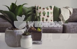 Khám phá những món đồ decor nhỏ xinh giúp thăng hạng ngôi nhà của bạn
