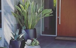 Tận mắt chiêm ngưỡng chậu xi măng nội thất của chúng tôi tại WEDECOR VIỆT NAM