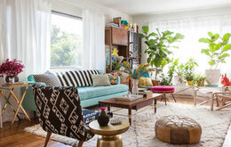 Trang trí cây xanh trong nhà đúng cách