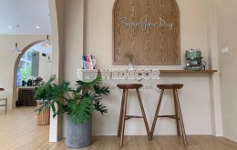 Ý nghĩa phong thủy và cách chăm sóc trầu bà thanh xuân