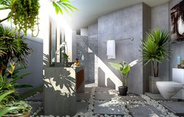 Hướng dẫn bố trí cây xanh hợp phong thủy cho ngôi nhà của bạn