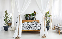 Top 10 loại cây trồng trong phòng ngủ tốt cho sức khỏe