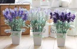 5 loại hoa đuổi muỗi bạn nên trồng ở ban công nhà