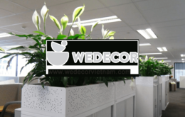 Cách chăm sóc cây cảnh văn phòng