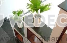 Kinh nghiệm chọn cây trang trí cầu thang tốt về phong thủy