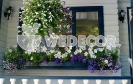 Trang trí bệ cửa sổ đẹp với cây và hoa