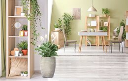 Chậu trồng cây Fiberglass - sự lựa chọn hàng đầu cho cây nội thất