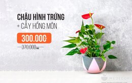QUÀ TẶNG 20/10 Ý NGHĨA DÀNH CHO PHÁI NỮ