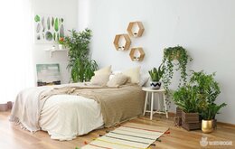 ƯU ĐÃI CHẬU TRỨNG CỰC HOT TẠI TIKI, SHOPEE, LAZADA