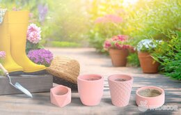 Chậu để bàn TDANG - mẫu chậu trồng cây được ưa chuộng năm 2020