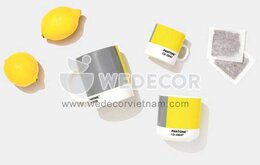 Xám - Vàng, màu của năm 2021