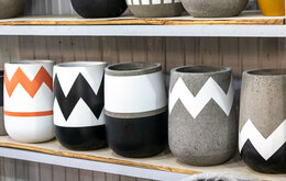 Bộ sưu tập Chậu đen lịch lãm