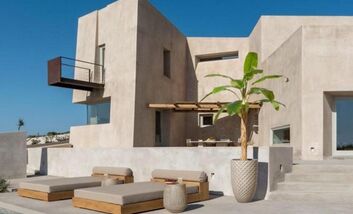 Chậu xi măng trồng cây đẹp giá rẻ mới nhất 2023